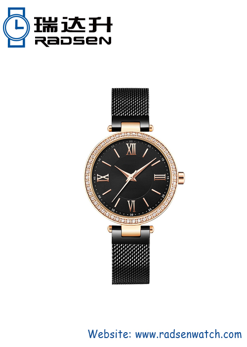 Women Mesh Watches IP Plating